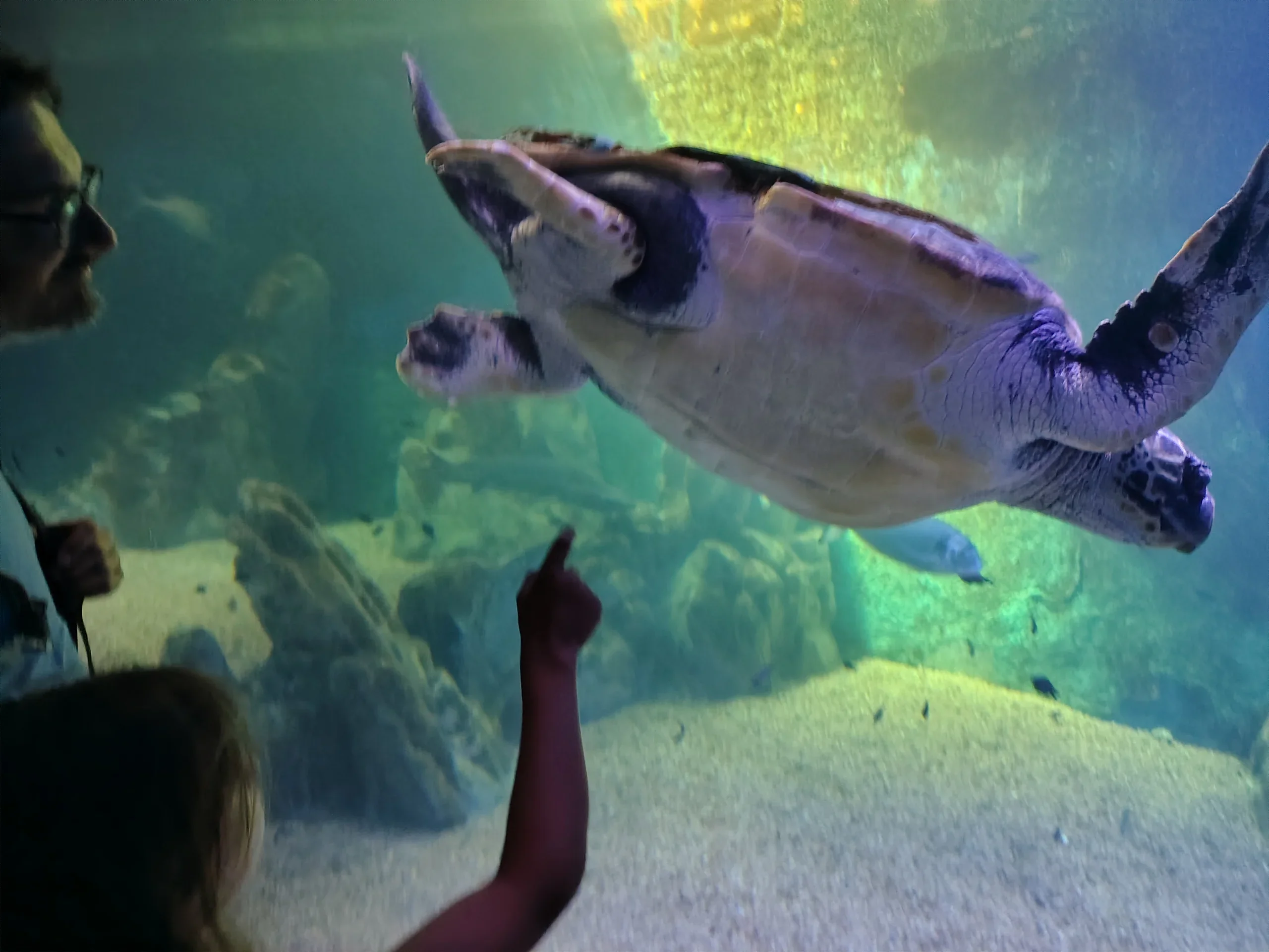 Proč zrovna Sardinie