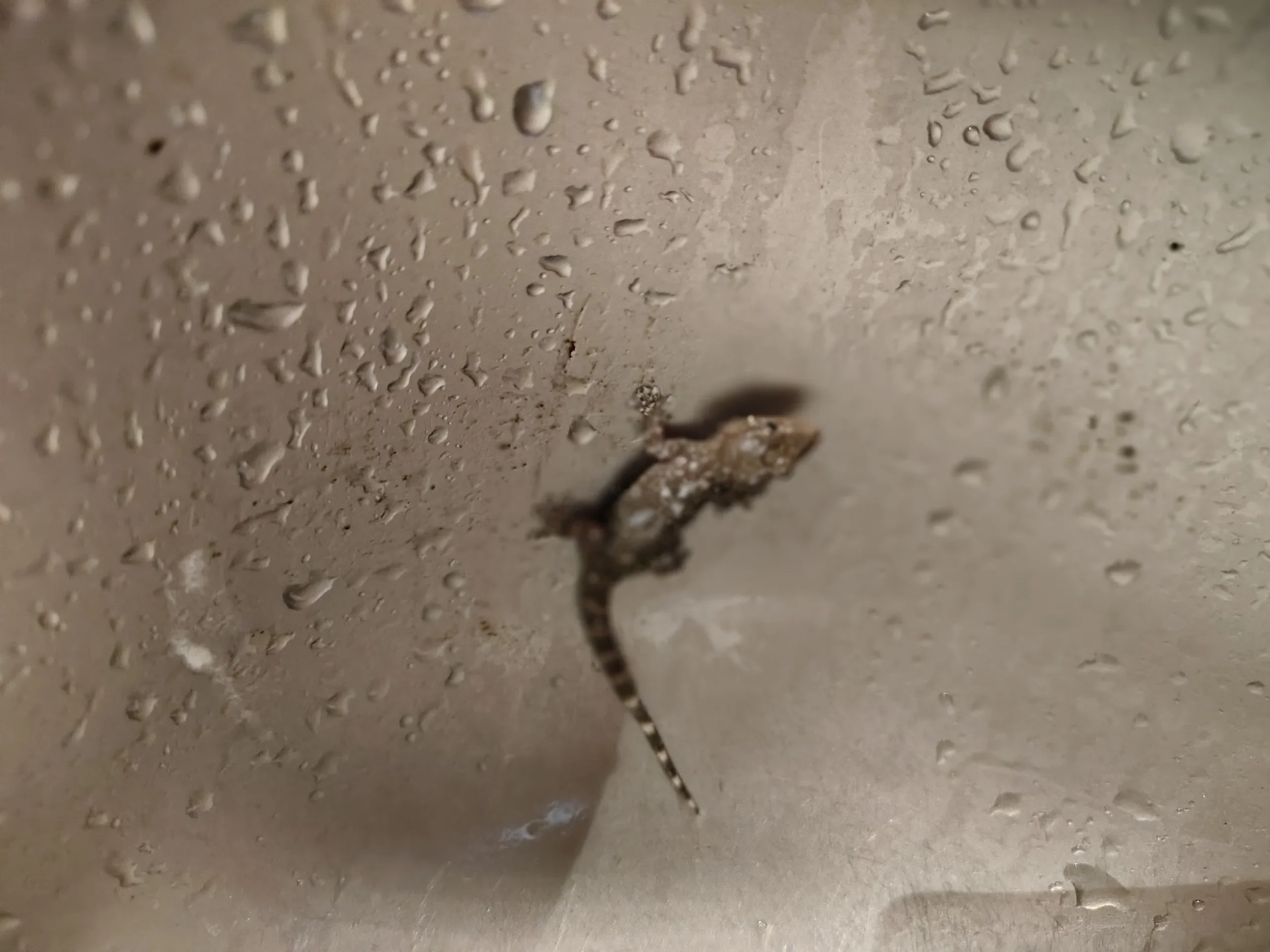 Pohodová dovolená na Sardinii